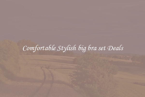 Comfortable Stylish big bra set Deals