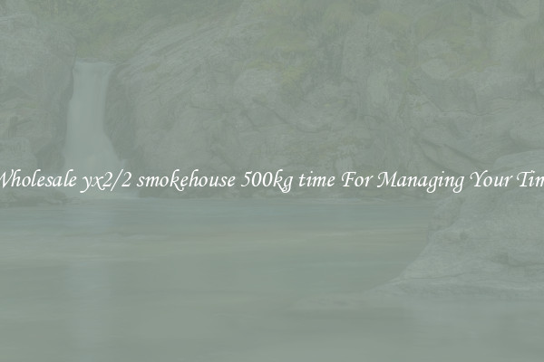 Wholesale yx2/2 smokehouse 500kg time For Managing Your Time