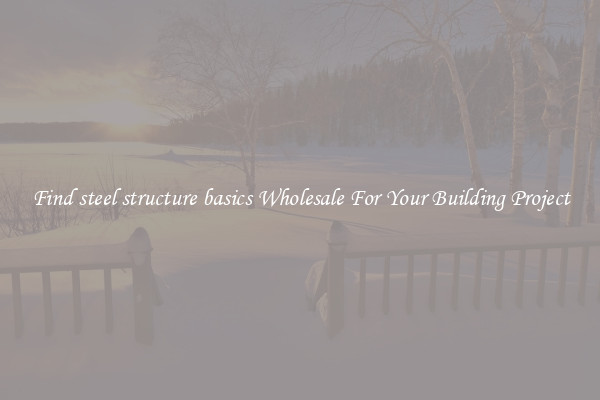 Find steel structure basics Wholesale For Your Building Project