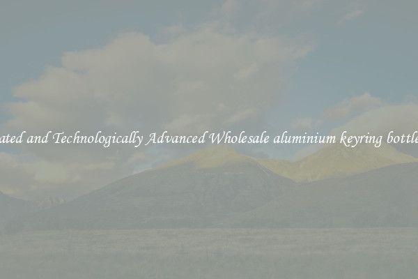 Automated and Technologically Advanced Wholesale aluminium keyring bottle opener