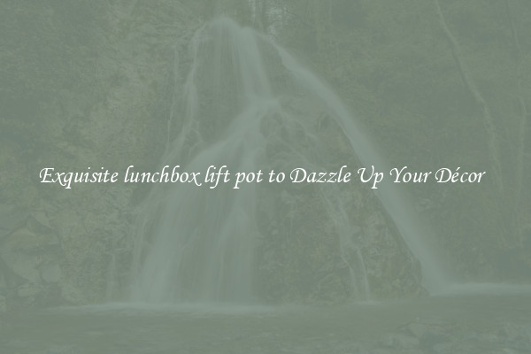 Exquisite lunchbox lift pot to Dazzle Up Your Décor  