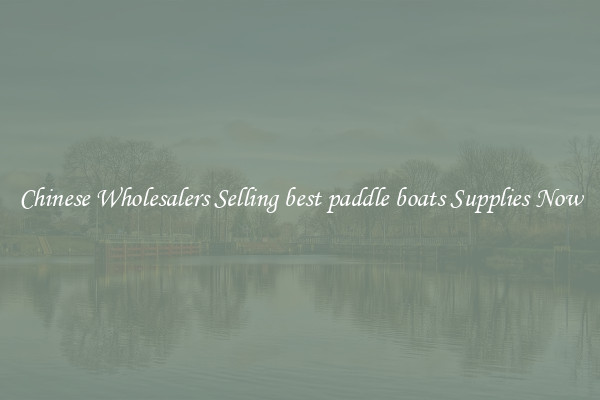 Chinese Wholesalers Selling best paddle boats Supplies Now