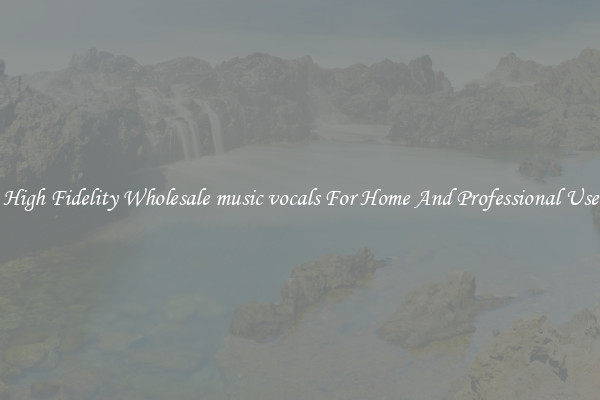 High Fidelity Wholesale music vocals For Home And Professional Use