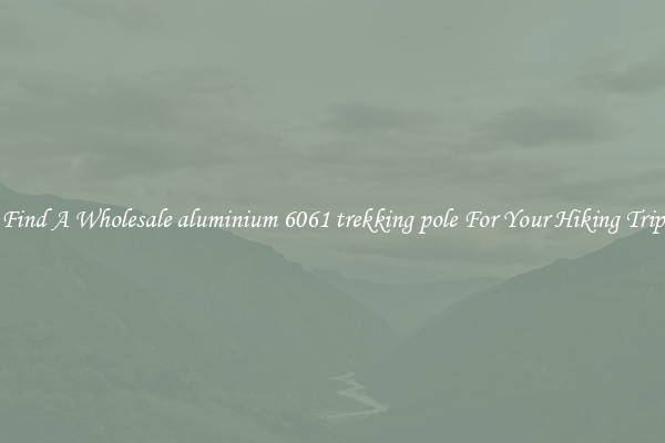 Find A Wholesale aluminium 6061 trekking pole For Your Hiking Trip