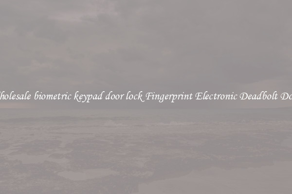 Wholesale biometric keypad door lock Fingerprint Electronic Deadbolt Door 