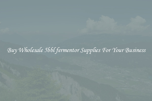 Buy Wholesale 5bbl fermentor Supplies For Your Business