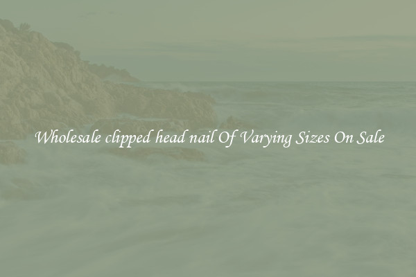 Wholesale clipped head nail Of Varying Sizes On Sale