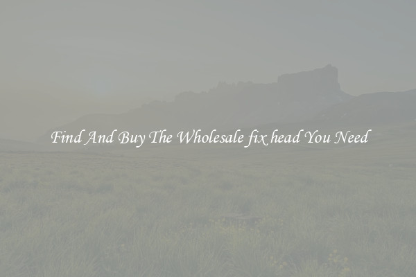 Find And Buy The Wholesale fix head You Need