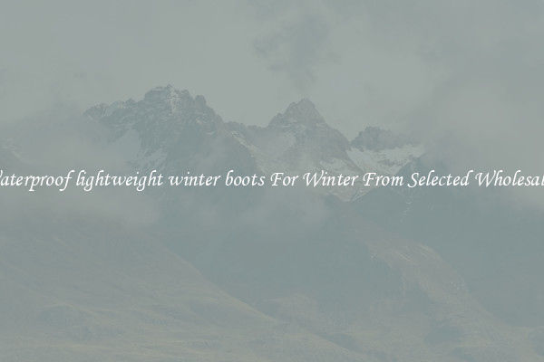 Waterproof lightweight winter boots For Winter From Selected Wholesalers
