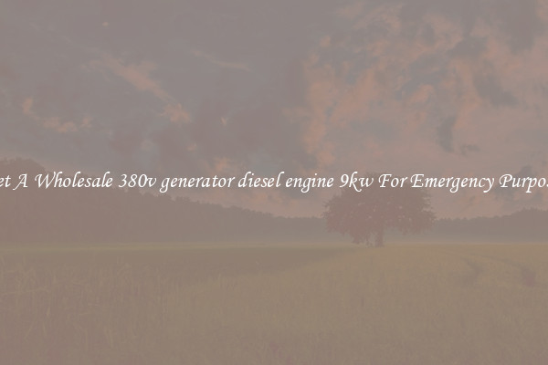 Get A Wholesale 380v generator diesel engine 9kw For Emergency Purposes