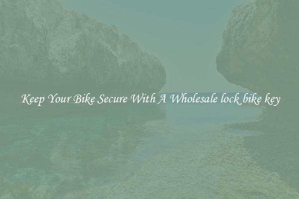 Keep Your Bike Secure With A Wholesale lock bike key