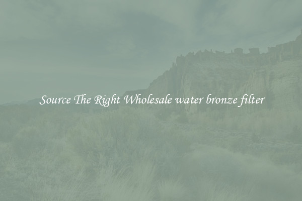 Source The Right Wholesale water bronze filter