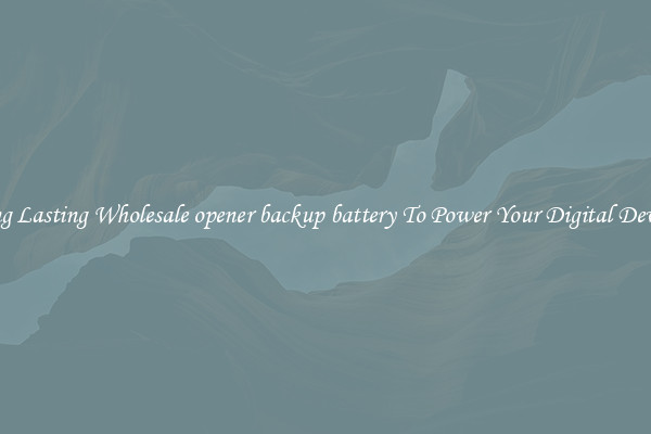 Long Lasting Wholesale opener backup battery To Power Your Digital Devices