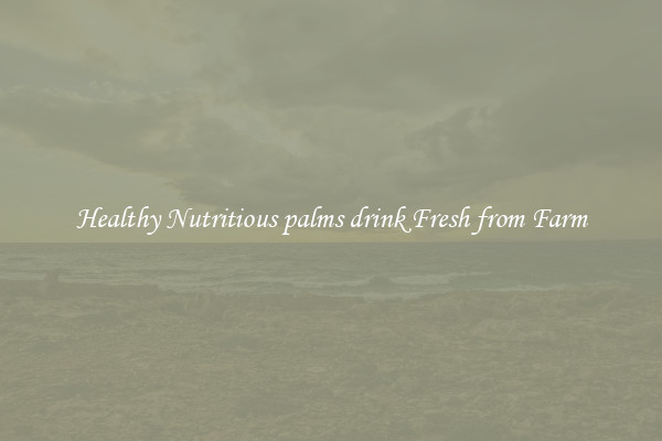 Healthy Nutritious palms drink Fresh from Farm
