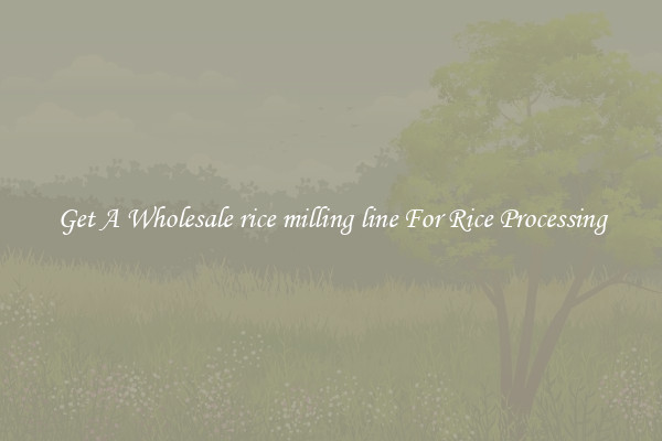 Get A Wholesale rice milling line For Rice Processing