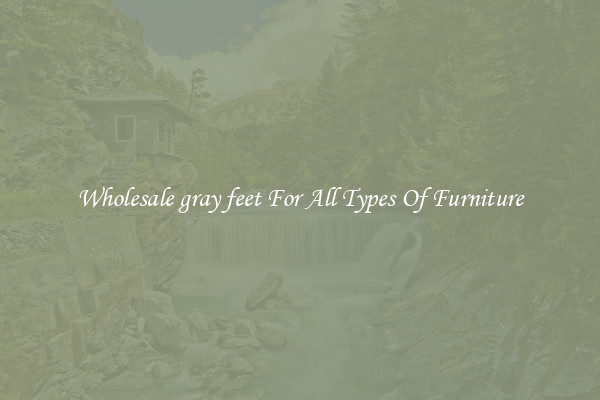 Wholesale gray feet For All Types Of Furniture