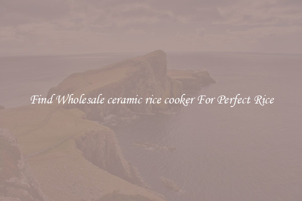 Find Wholesale ceramic rice cooker For Perfect Rice