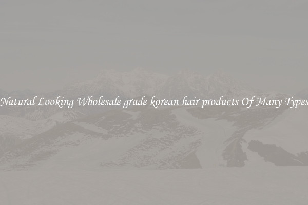 Natural Looking Wholesale grade korean hair products Of Many Types