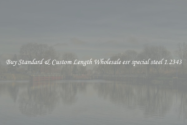 Buy Standard & Custom Length Wholesale esr special steel 1.2343