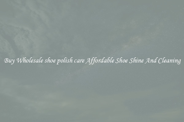 Buy Wholesale shoe polish care Affordable Shoe Shine And Cleaning