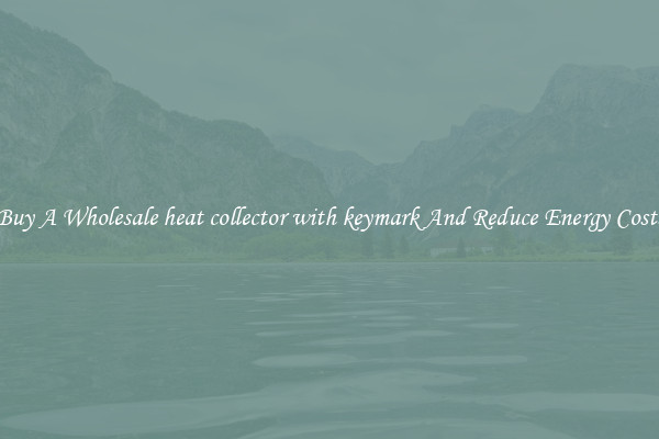 Buy A Wholesale heat collector with keymark And Reduce Energy Costs
