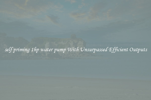 self priming 1hp water pump With Unsurpassed Efficient Outputs